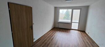 Pronajmu zrekonstruovaný větší byt 1+1 (44m2) v Sokolově, To