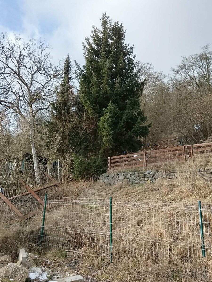 Přenechání zahrady – Krásné Březno, 518 m² Přenechám zahradu