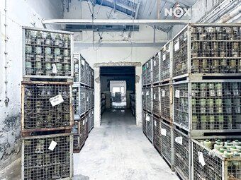 V bývalé mechanické tkalcovně v obci Dětřichov u Frýdlantu, 