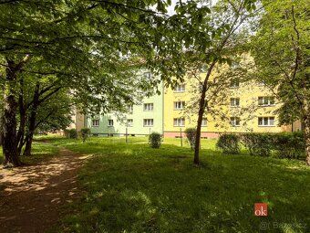 Převod dr. podílu, byty/3+1, 78 m2, Živičná 677/10, Moravská
