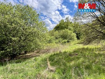 Nabízíme vám ke koupi pozemek o celkové výměře 5 429 m², tvo