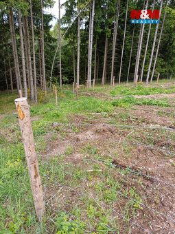 Nabízíme k prodeji lesní pozemek, o celkové výměře 9634 m2, 