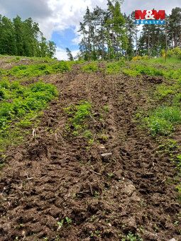 Nabízíme k prodeji lesní pozemek, o celkové výměře 9634 m2, 