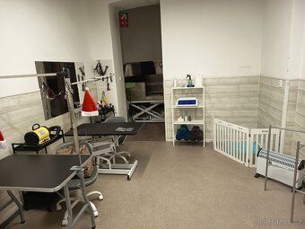 Pronájem salonu pro stříhání psů a koček, 25 m² 📍 Adresa: Pr