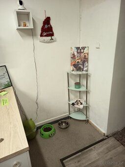Pronájem salonu pro stříhání psů a koček, 25 m² 📍 Adresa: Pr