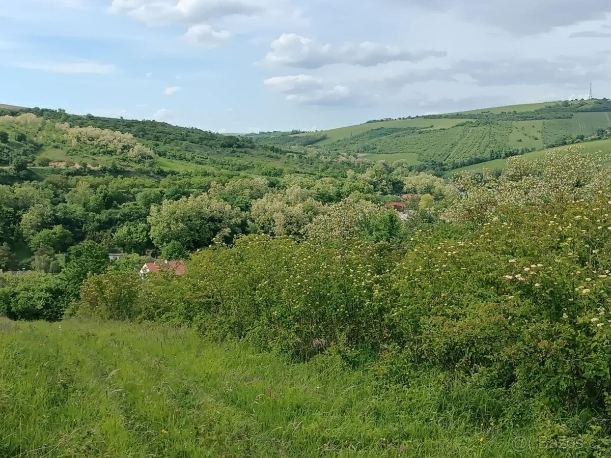 Pronajmu pěkný pozemek v Kurdějově 770 m, bez el. a vody.