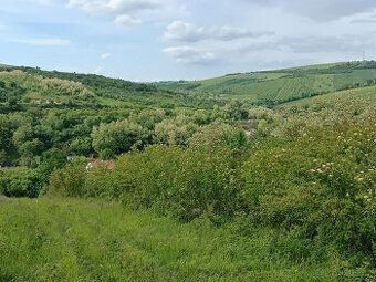 Pronajmu pěkný pozemek v Kurdějově 770 m, bez el. a vody.