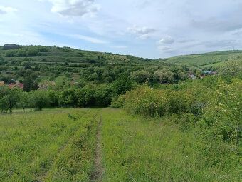 Pronajmu pěkný pozemek v Kurdějově 770 m, bez el. a vody.
