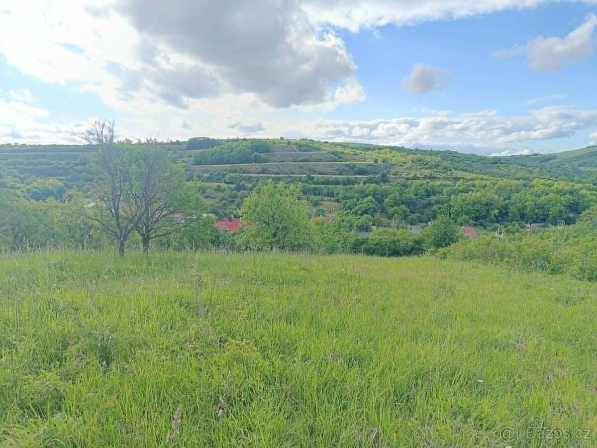 Pronajmu pěkný pozemek v Kurdějově 770 m, bez el. a vody.
