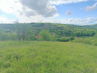 Pronajmu pěkný pozemek v Kurdějově 770 m, bez el. a vody.