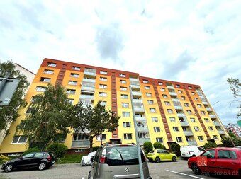 Pronájem bytu 1+1, 41,4 m², 7. patro s výtahem, Jihlavská ul