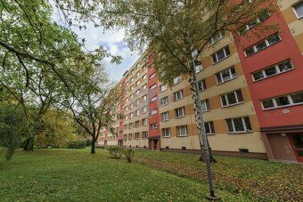 Dobrý den,
ve výhradním zastoupení Vám nabízím ke koupi větš