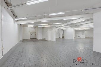 Pronájem, komerční/obchodní prostory, 395 m2, Palackého tříd