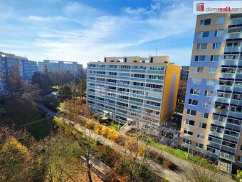+ 5000 služby včetně elektřiny, Michelle reality Vám zprostř
