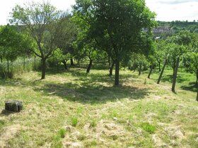 Prodej stavebního pozemku v obci Jalubí (6 km od Uh. Hradišt