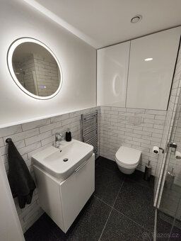 Nabízíme k pronájmu krásný moderní byt 1+kk o celkové ploše 