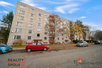Pronájem, byty/1+1, 38 m2, U Potoka 749, 56601 Vysoké Mýto, 