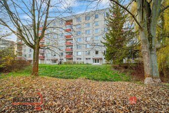 Pronájem, byty/1+1, 38 m2, U Potoka 749, 56601 Vysoké Mýto, 