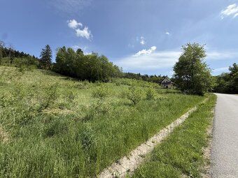 Nabízím k prodeji pole, louky o CP 3640 m2 v obci Záhorovice
