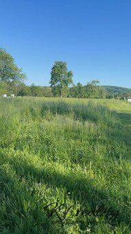 Nabízím k prodeji pole, louky o CP 3640 m2 v obci Záhorovice