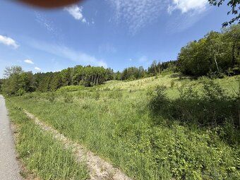 Nabízím k prodeji pole, louky o CP 3640 m2 v obci Záhorovice