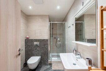 Pronájem bytu 1+kk 37 m², s recepcí a parkovacím místem, Olš