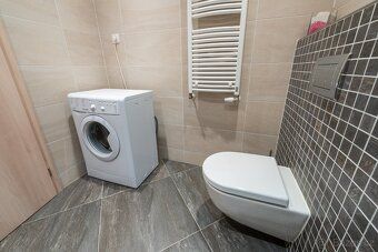 Pronájem bytu 1+kk 37 m², s recepcí a parkovacím místem, Olš