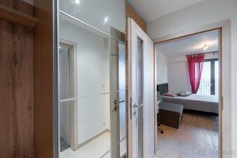Pronájem bytu 1+kk 37 m², s recepcí a parkovacím místem, Olš