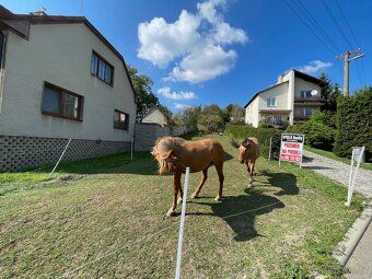Obec: Pašovice IS: V těsné blízkosti Šířka: 13 m2 Celková pl
