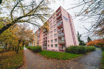 Nabízíme byt 66 m² ideální pro 3–4 studenty. Možnost pronájm