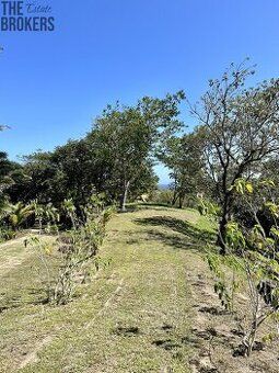 predám lesné pozemky 15672,422 m2 podiel v Komposesoráte Par