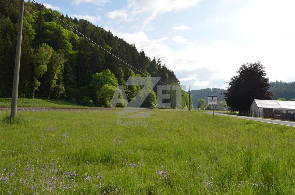 Pozemek o celkové rozloze 4500 m2 se nachází v Potůčníku , 1