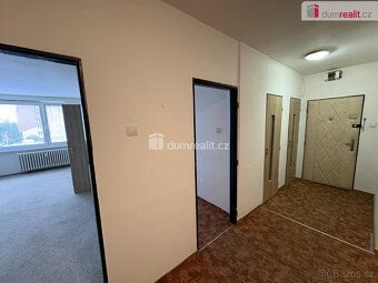 +popl. 3900, elektřinu a plyn na sebe přehlašuje nájemník po