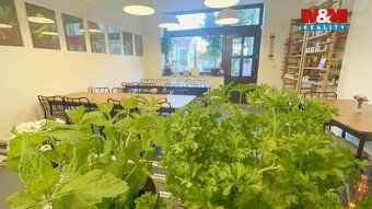 Nabízíme k pronájmu atraktivní a plně vybavený gastro prosto