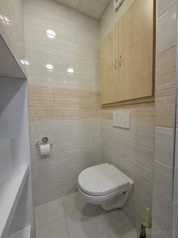 Nabízím k prodeji družstevní byt 1+kk o výměře 33 m² v Orlov