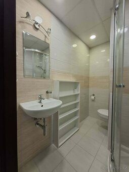 Nabízím k prodeji družstevní byt 1+kk o výměře 33 m² v Orlov