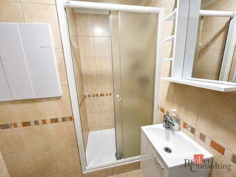 Pronájem bytu 1+1, 41,4 m², 7. patro s výtahem, Jihlavská ul