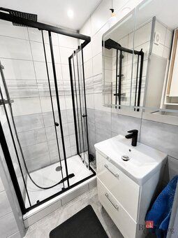 Pronájem bytu 1+1, 41,39 m², 4. patro s výtahem, Bardějovská