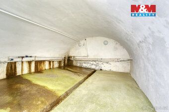 Pokud patříte mezi ty, kteří hledají opravdu netradiční nemo
