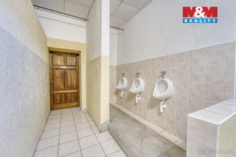 Pokud patříte mezi ty, kteří hledají opravdu netradiční nemo