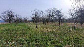 Nabízíme k prodeji zahradu v obci Sovadina - Bystřice pod Ho