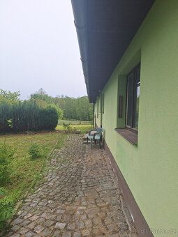 Léto na vlastní chalupě??? Ano. Dubaj - už ne, místo kam se 