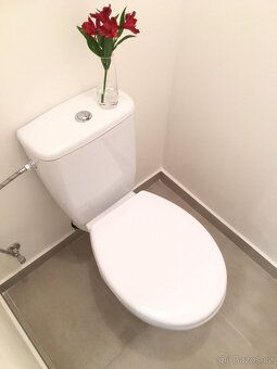 Podnájem bytu v osobním vlastnictví 2+1 44 m2 na ul. Jana Ma