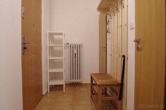 Nabízím k pronájmu byt 1+1,33 m2 ul. Trebišovská v Kutné Hoř
