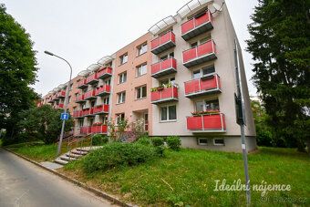 K dlouhodobému podnájmu nabízíme příjemný byt o dispozici 1+