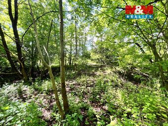 Nabízíme pozemek o výměře 3255 m2 vedený jako vodní plocha v