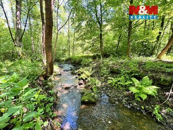 Nabízíme pozemek o výměře 3255 m2 vedený jako vodní plocha v