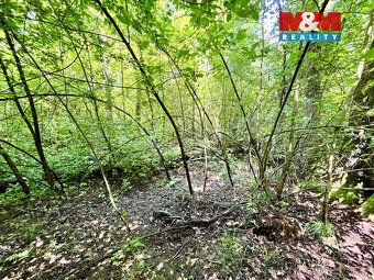 Nabízíme pozemek o výměře 3255 m2 vedený jako vodní plocha v
