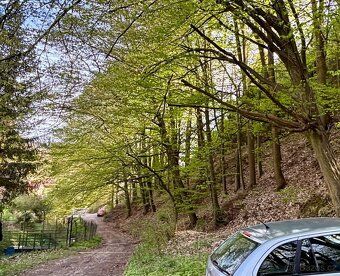 Prodej zahrady 521 m² s dřevěnou chatou (16 m2, výška 4,5m)a