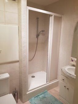 Světlý byt 1+kk (33 m²) Brno – Líšeň, ihned k nastěhování, b